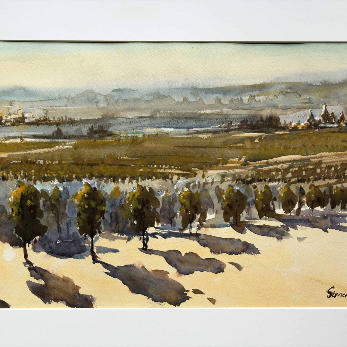 Bordeaux Vineyards, 12 x 18", Watercolours